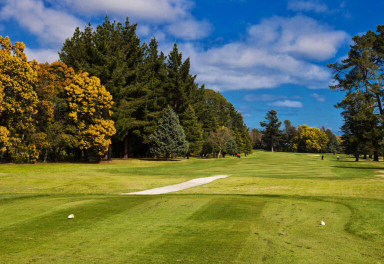 View from tee to fairway with trees lining the fairway