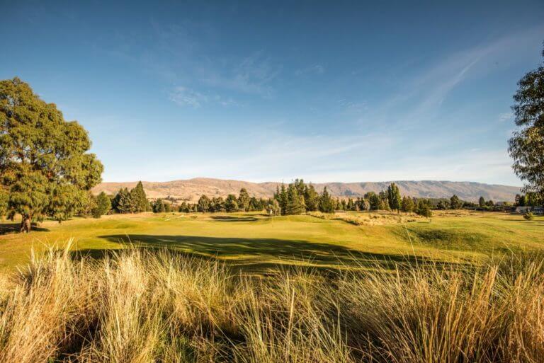 Long reeds stand next to third fairway