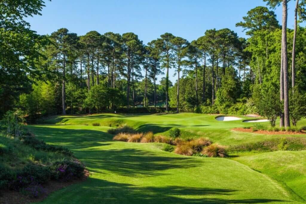 Golf Course in Japan