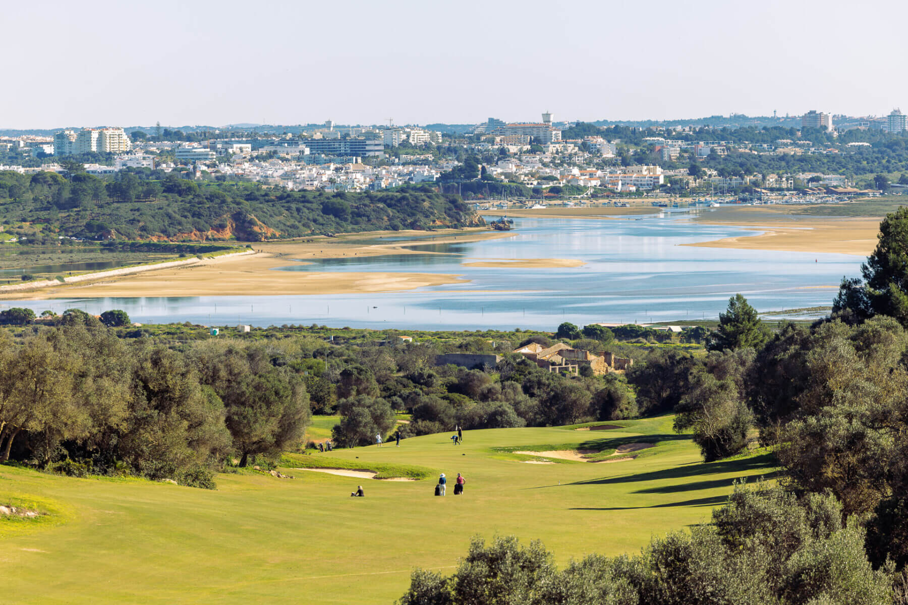 Palmares