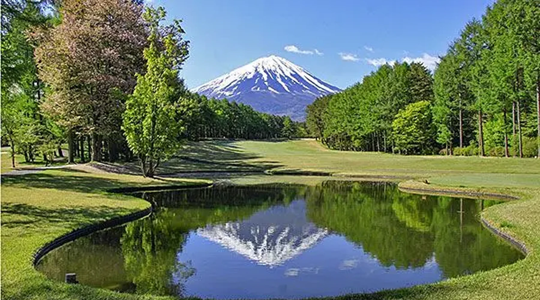 Fujizakura - Japan