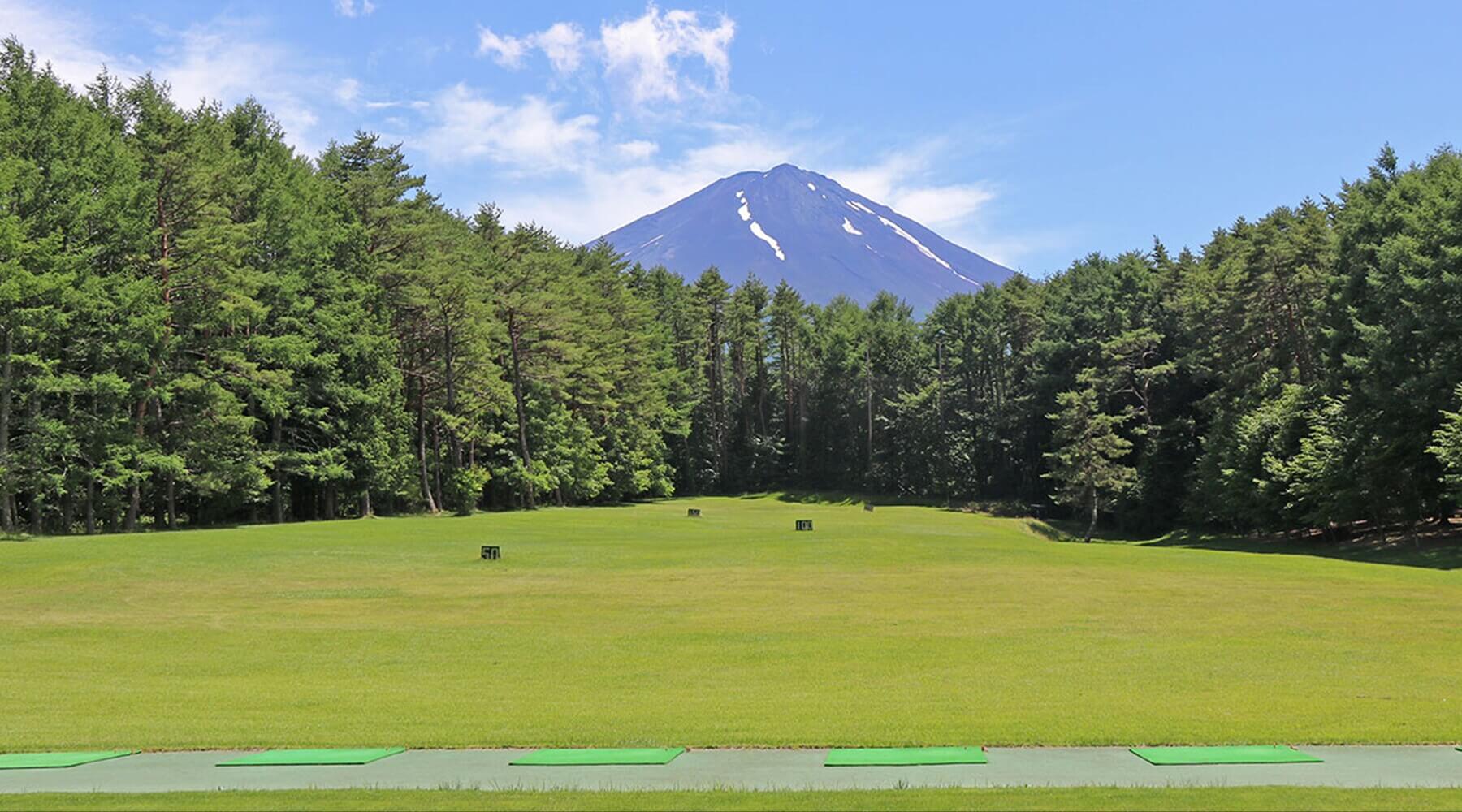 Fujizakura - Japan