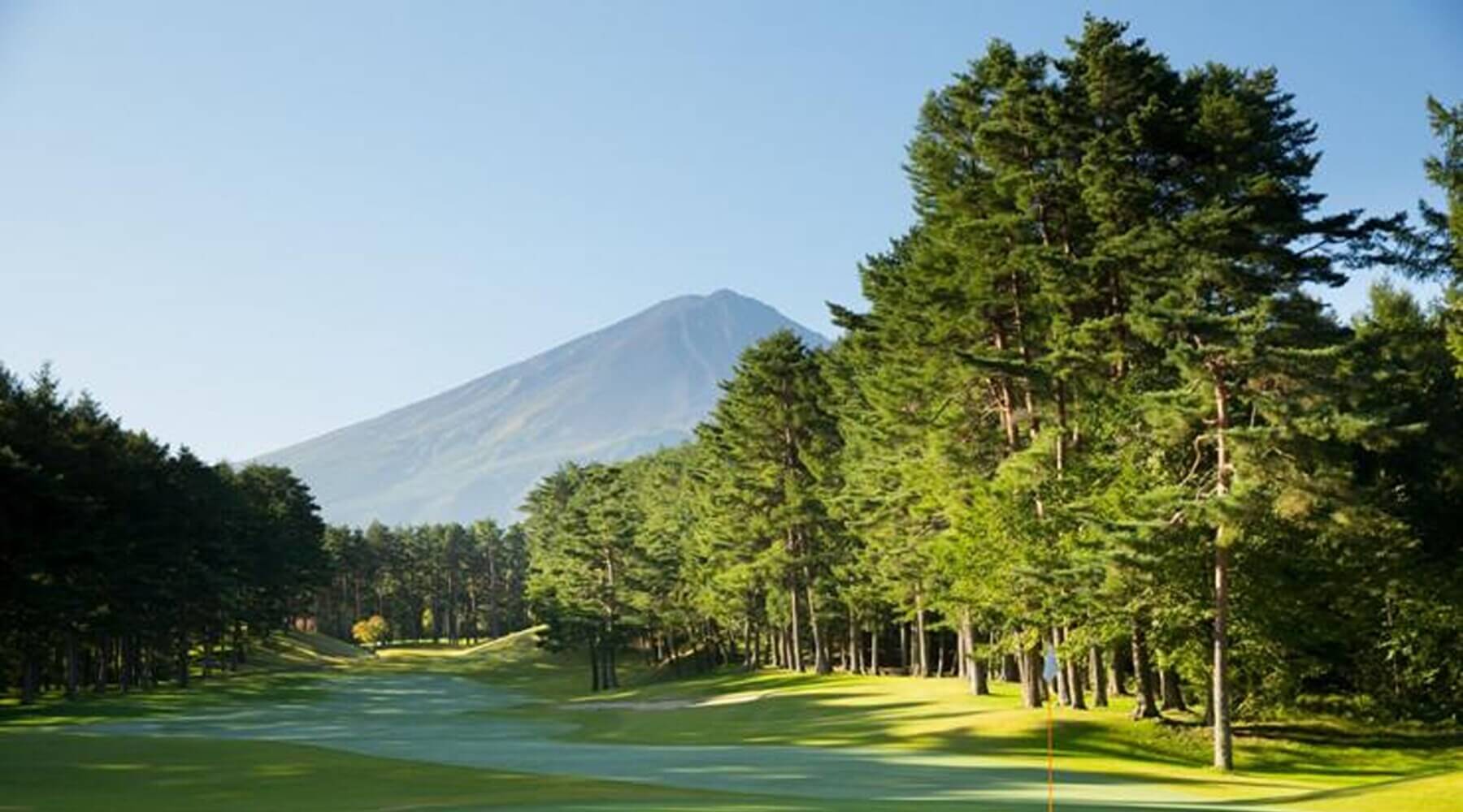 Fujizakura - Japan