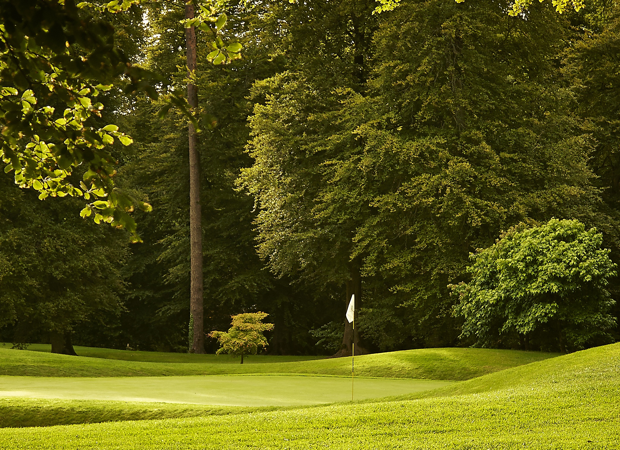 Overlooking a green, Mount Juliet Estate, Kilkenny, Ireland