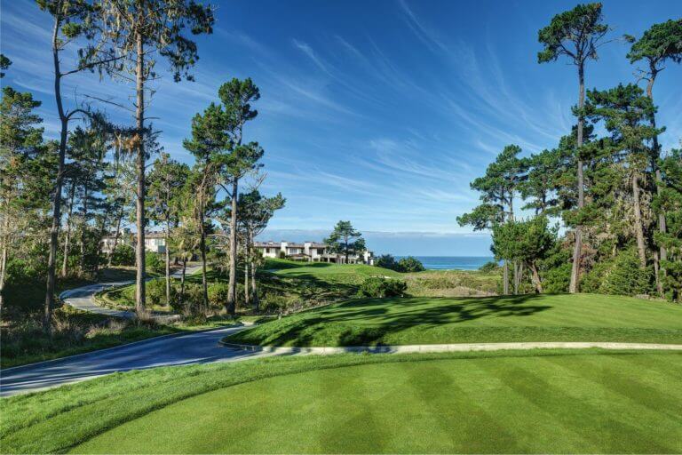 Image depicting a par three with large pine trees, The Links at Spanish Bay, Pebble Beach, California, USA