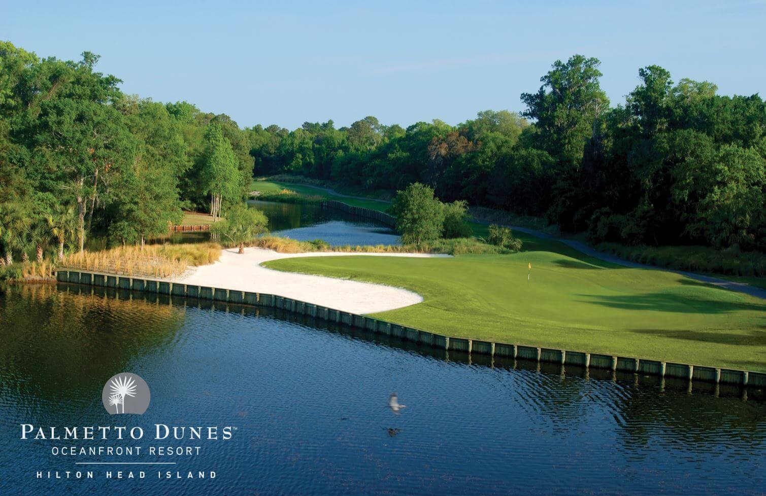 A bird flies over a lake that is adjacent to a golf green at Palmetto Dunes Golf Course, Hilton Head