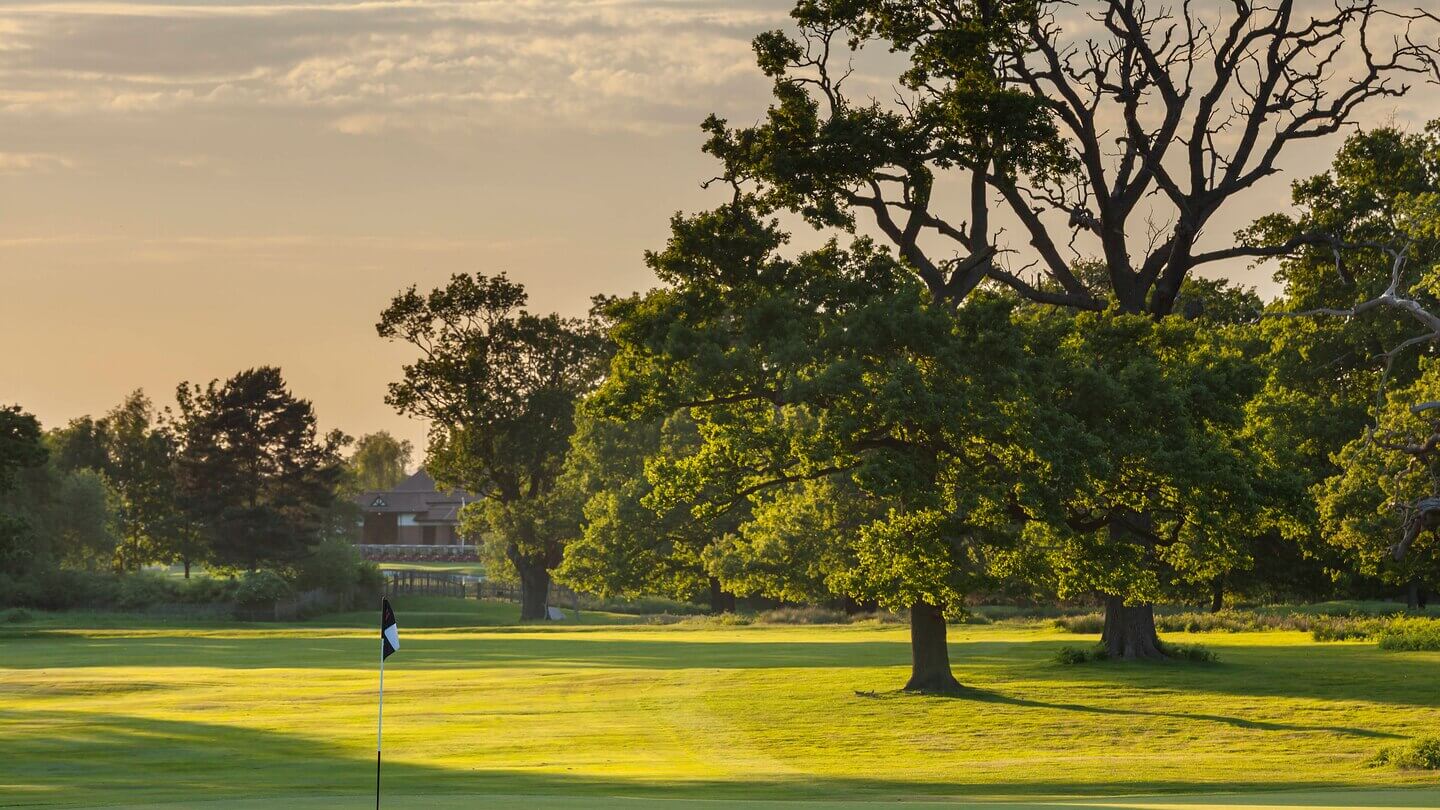 Golden light shines on oak trees on the fairways of Marriot Forest of Arden Championship Golf Course