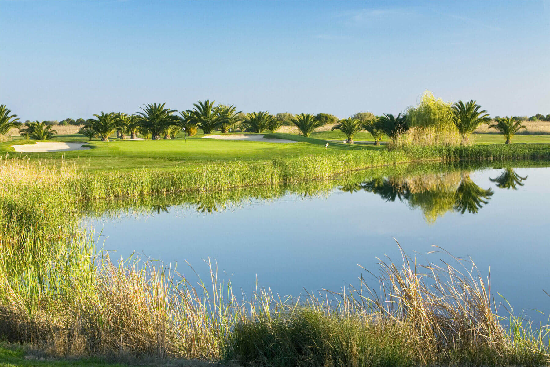 Laguna Golf Course with lake, palm trees and greens in Vilamoura